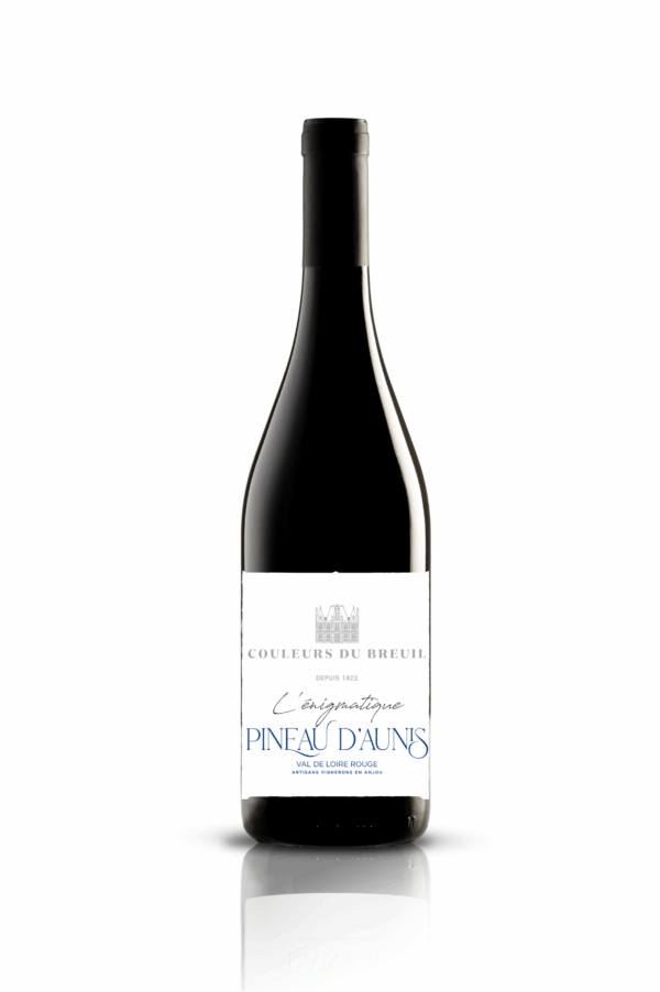 L'énigmatique Pineau d'Aunis