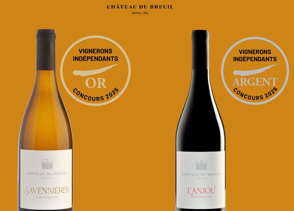 CONCOURS DES VIGNERONS INDÉPENDANTS 2025